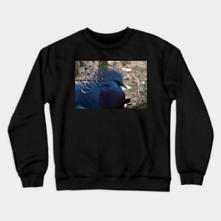 Exotic Bird Crewneck Sweatshirt